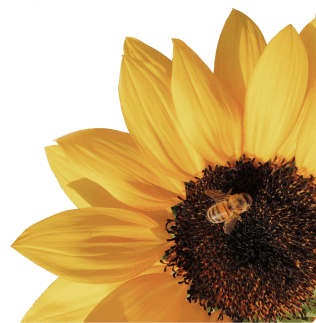 flower1.png